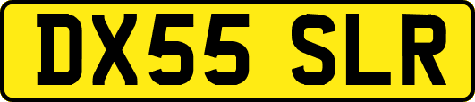 DX55SLR