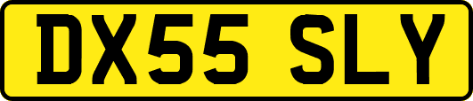 DX55SLY