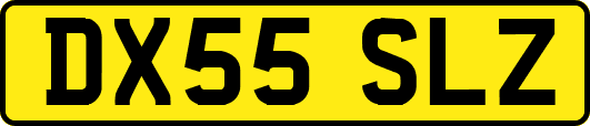 DX55SLZ