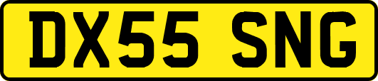 DX55SNG