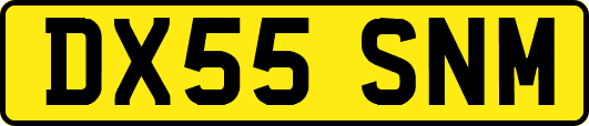 DX55SNM