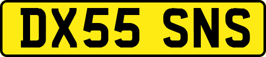 DX55SNS