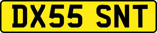 DX55SNT