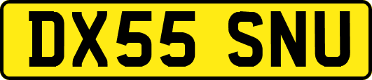 DX55SNU
