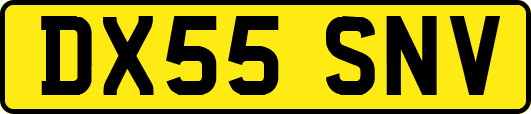 DX55SNV