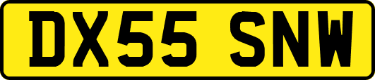 DX55SNW