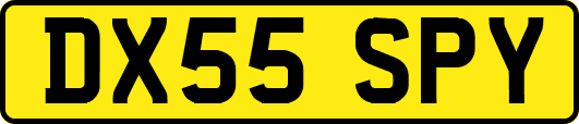 DX55SPY