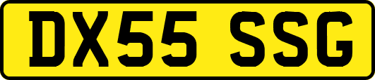 DX55SSG