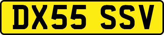 DX55SSV