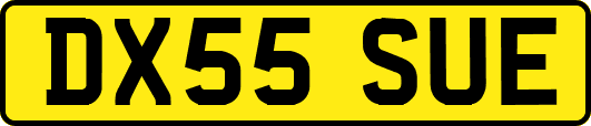 DX55SUE