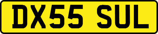 DX55SUL