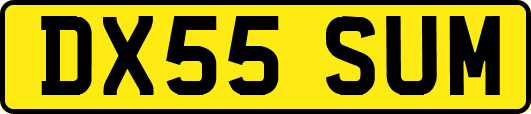 DX55SUM