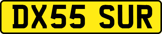 DX55SUR