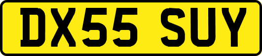 DX55SUY