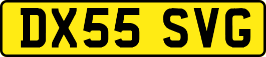 DX55SVG