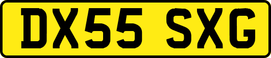DX55SXG