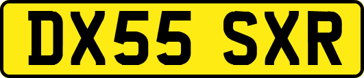 DX55SXR