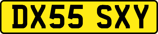 DX55SXY