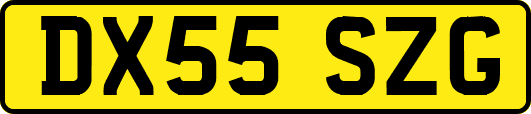 DX55SZG