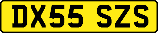DX55SZS
