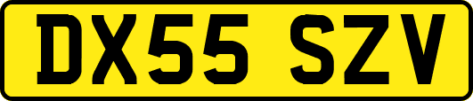 DX55SZV
