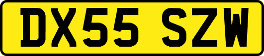 DX55SZW