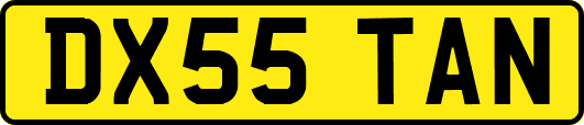 DX55TAN
