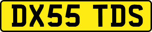 DX55TDS