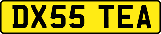 DX55TEA