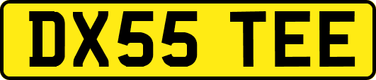 DX55TEE