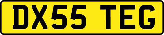 DX55TEG