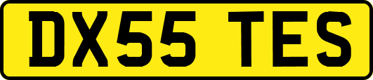 DX55TES
