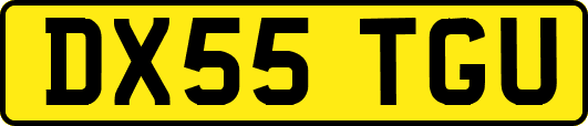 DX55TGU