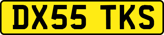 DX55TKS