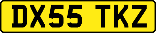 DX55TKZ