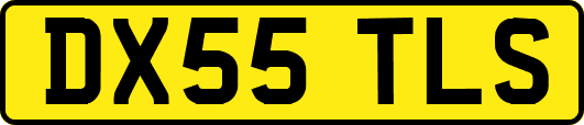 DX55TLS