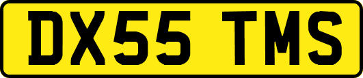 DX55TMS