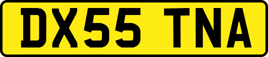 DX55TNA