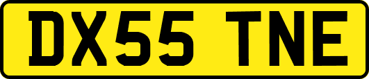 DX55TNE