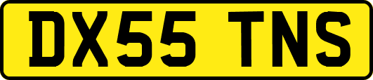 DX55TNS
