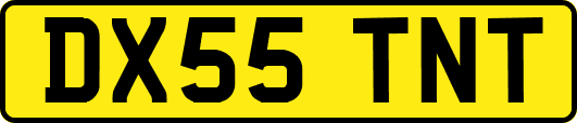DX55TNT