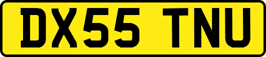 DX55TNU