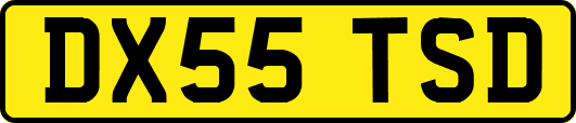 DX55TSD