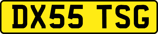 DX55TSG