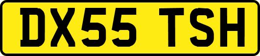 DX55TSH