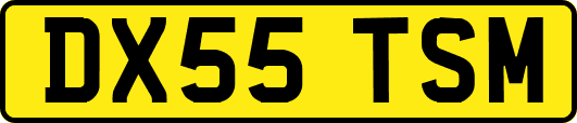 DX55TSM