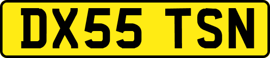 DX55TSN