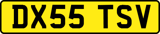 DX55TSV