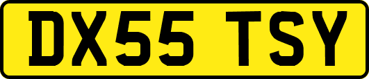 DX55TSY
