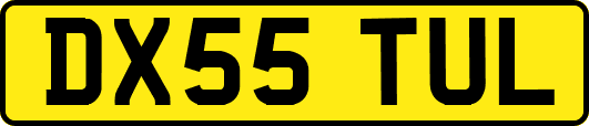 DX55TUL